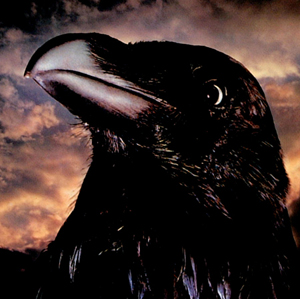Stranglers The Raven album sleeve 1979